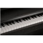 Фортепіано цифрове NUX WK-520 K85917 NUX фото - Muzbox