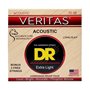 Струни для гітари DR Strings VERITAS Coated Core Acoustic Guitar Strings - Extra Light (10-48)