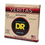 Струни для гітари DR Strings VERITAS Coated Core Acoustic Guitar Strings - Extra Light (10-48)