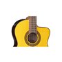 TAKAMINE GC5CE NAT Гітара класична