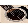 TAYLOR GUITARS GS MINI SAPELE Акустическая гитара, 6 струн, корпус - GS Mini, уменьшенный размер, верхняя дека - ель, нижняя дек