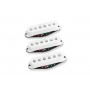 SEYMOUR DUNCAN STK-10S YJM FURY SET WHT Набір звукознімачів