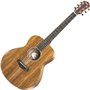 Електроакустична гітара Taylor Guitars GS Mini-e Koa
