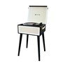 Вініловий програвач Musicality ENG _Enigma (Black)
