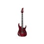 Електрогітара IBANEZ RGT1221PB SWL
