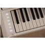 Цифровое пианино CASIO AP-550WE