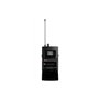 Радіосистема DV audio MGX-24B MKII з гарнітурами