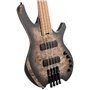 Бас-гітара CORT Artisan Space 4 (Star Dust Black)
