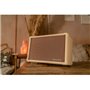 Гітарний комбопідсилювач BLACKSTAR ACOUSTIC:CORE 30