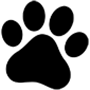 Кабель комутаційний WARM AUDIO Prem-XLRf-TRSm-3'