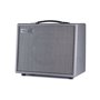 Гітарний комбопідсилювач BLACKSTAR SILVERLINE STANDARD 20