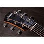 Гітара електроакустична TAYLOR GUITARS 214ce PLUS