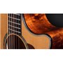 Гітара електроакустична TAYLOR GUITARS 614ce