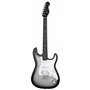Електрогітара MOOER MSC12 Pro (Iron Silver)