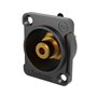 Seetronic MF2D-B 88406 SEETRONIC фото - Muzbox