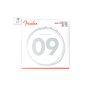 Струни для електрогітар FENDER 250L NICKEL-PLATED STEEL GUITAR STRINGS 9-42 M-A009834 FENDER фото - Muzbox