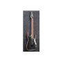 Електрогітара IBANEZ RGA42FM TGF