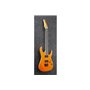 Електрогітара IBANEZ RGR5221-TFR