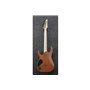 Електрогітара IBANEZ RGR5221-TFR