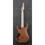 Електрогітара IBANEZ RGR5221-TFR