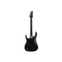 Електрогітара IBANEZ RGRTB621-BKF