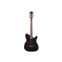 Гітара класична IBANEZ TOD10N-TKF M-234181 IBANEZ фото - Muzbox
