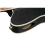 Гітара класична IBANEZ TOD10N-TKF M-234181 IBANEZ фото - Muzbox