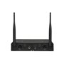 Радіосистема DV audio BGX-224 MKII з гарнітурами