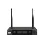 Радіосистема DV audio BGX-224 MKII з гарнітурами