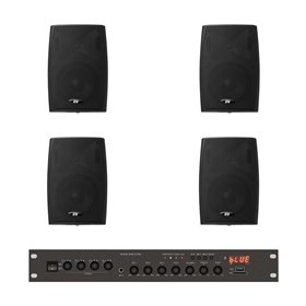 Комплект звуку DV audio LA804PB4B для приміщення до 120м.кв