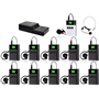 Бездротова система тур-гід DV audio TGD-KIT1T10R комплект