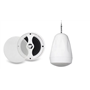 Підвісна акустична система DV audio PS-422TW