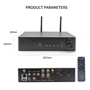 Музичний стример DV audio WMP-260 PRO мережевий Wi-Fi плеєр з підсилювачем