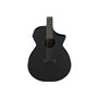 Гітара електроакустична IBANEZ AEWC621 BOT