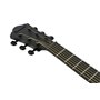 Гітара електроакустична IBANEZ AEWC621 BOT