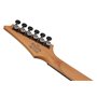 Електрогітара IBANEZ RGD61 BAM