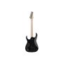Електрогітара IBANEZ RGR752AHBF WK