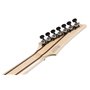 Електрогітара IBANEZ RGR752AHBF WK