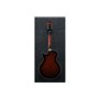 Гітара напівакустична IBANEZ AG95QA-DBS