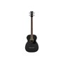 Бас-гітара акустична IBANEZ PCBE14MH WK
