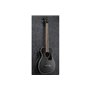 Бас-гітара акустична IBANEZ PCBE14MH WK