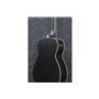 Бас-гітара акустична IBANEZ PCBE14MH WK