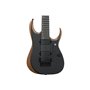 Електрогітара IBANEZ RGDR4327-NTF