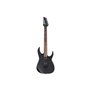 Електрогітара IBANEZ RGRT421 WK