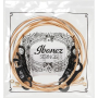 Струни для акустичних гітар IBANEZ IACSP6C ACOUSTIC GUITAR STRING 12-53 COATED