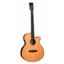 TANGLEWOOD TRS4 CE