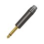 Seetronic MP2X-BG