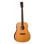 TANGLEWOOD TRS5 SE