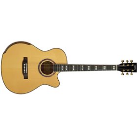 Fiesta WEST 40" TransAcoustic