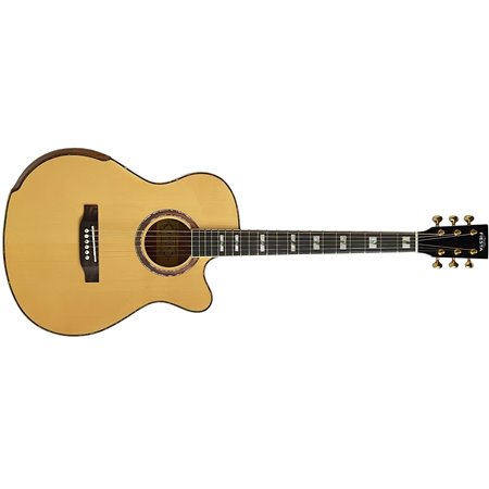 Fiesta WEST 40" TransAcoustic